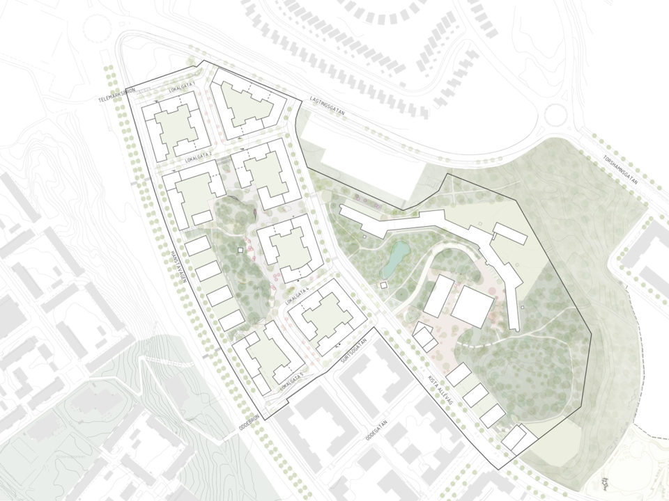 a-ripellino_odde_illustrationsplan